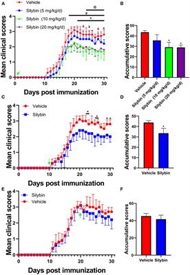 Silybin Alleviates Experimental Autoimmune Encephalomyelitis by Suppressing Dendritic Cell Activation and Th17 Cell Differentiation